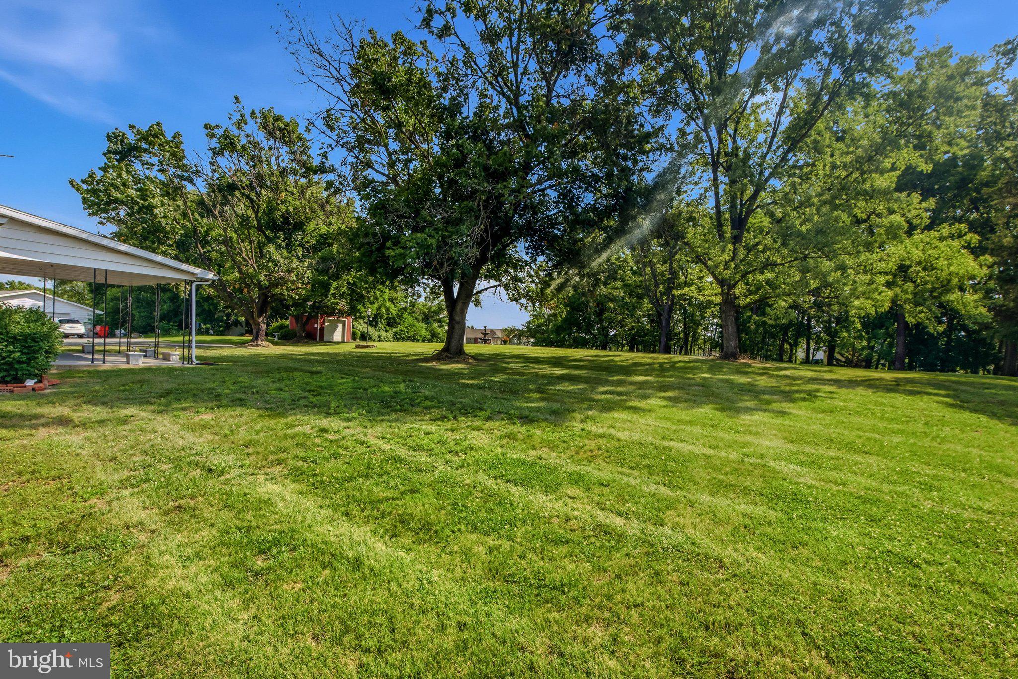 3203 Charles Town Road Kearneysville, WV 25430 - Photo 41 of 45 Expansive rear yard with mature trees and