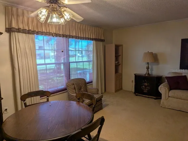 a view of a livingroom with furniture and windows