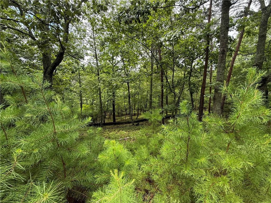 16 Ridgewater Drive Cartersville, GA 30121 - Photo 2 of 4 a view of a lush green forest