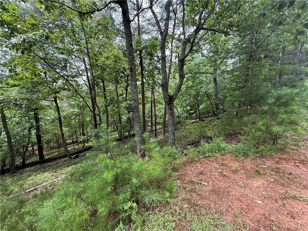 16 Ridgewater Drive Cartersville, GA 30121 - Photo 3 of 4 a big yard with lots of green space and deers
