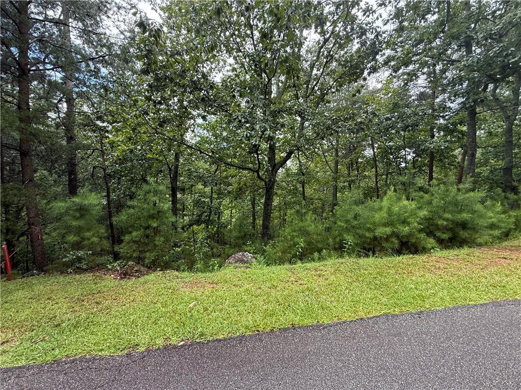 16 Ridgewater Drive Cartersville, GA 30121 - Photo 4 of 4 a view of outdoor space and yard