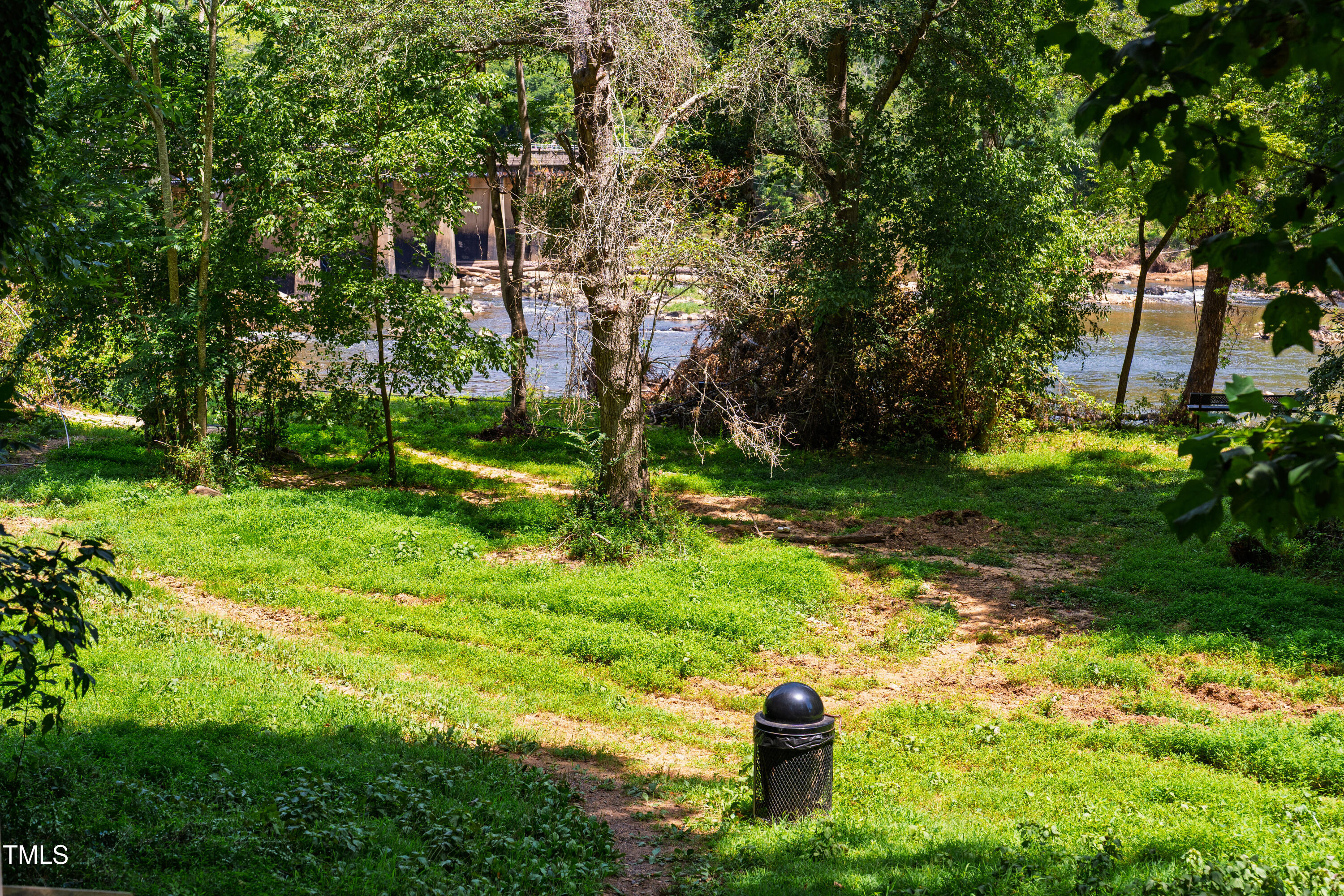 10 Bynum Beach Road Pittsboro, NC 27312 - Photo 33 of 41 a fire hydrant in the middle of a park