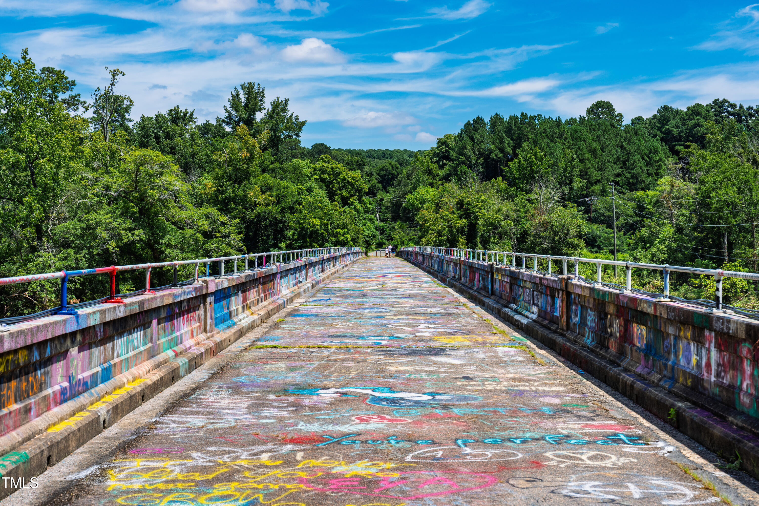 10 Bynum Beach Road Pittsboro, NC 27312 - Photo 37 of 41 a view of balcony with furniture