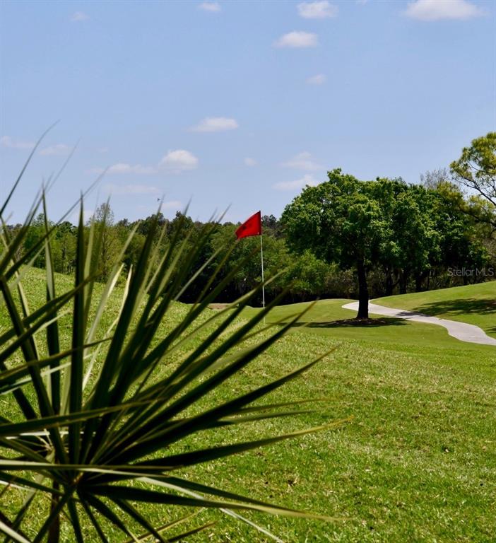 6713 Stone River Road, Unit 206 Bradenton, FL 34203 - Photo 52 of 58 a view of a green field