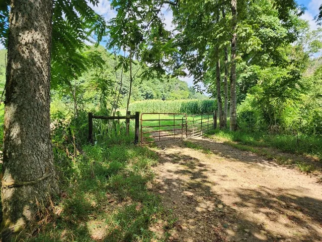 a backyard of a house with lots of green space