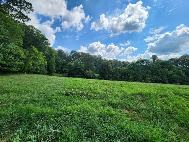 a view of a big yard with swimming pool and green space