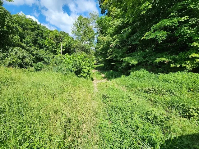 a view of an outdoor space with a lake view