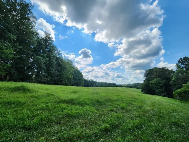 a view of a green field with lots of green space