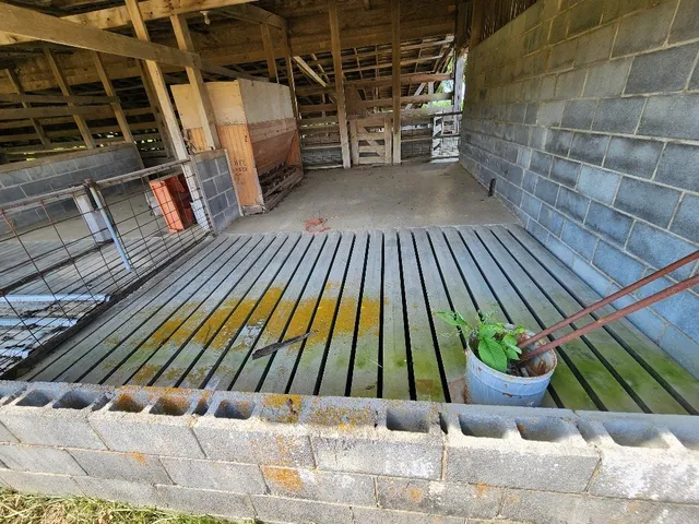 a view of a field with an ocean