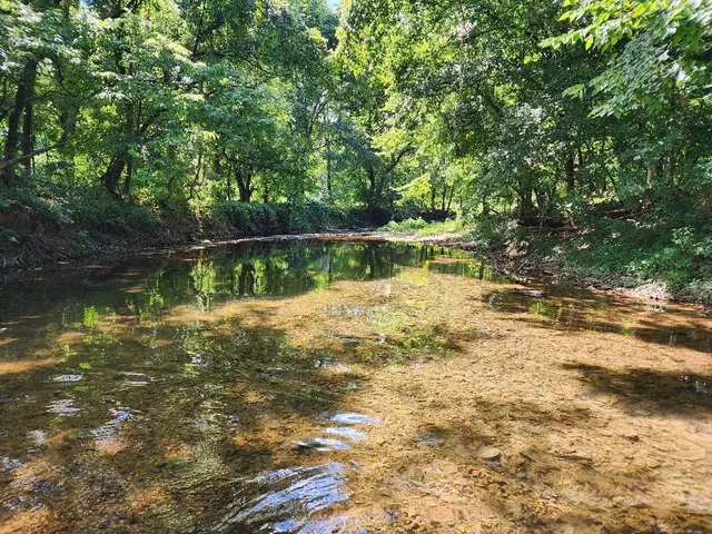 a view of a yard with trees
