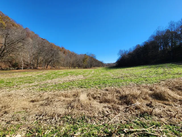 $1,250,000 | 0 Taurus Farm Road, Lafayette, TN 37083