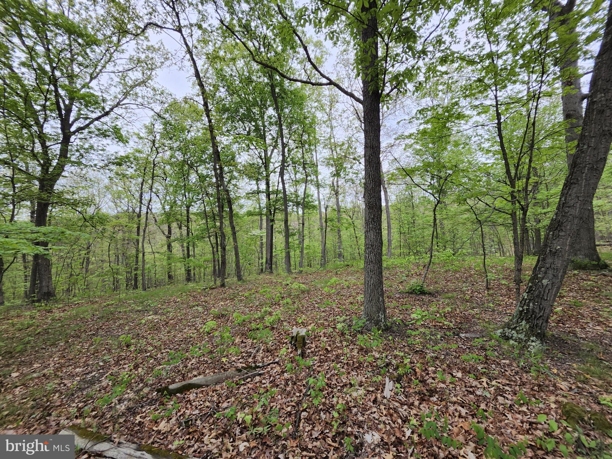 11900 Messick Road Southeast Cumberland, MD 21502 - Photo 57 of 59