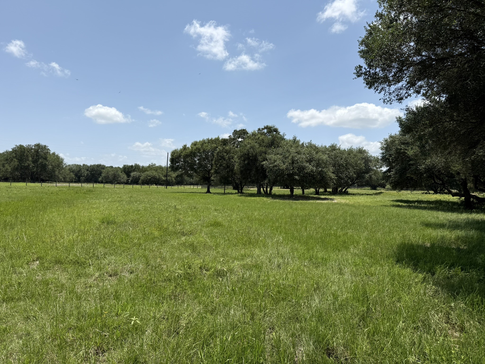 Tbd Rubin Lee Road Cat Spring, TX 78933 - Photo 45 of 47 a view of a garden with an trees