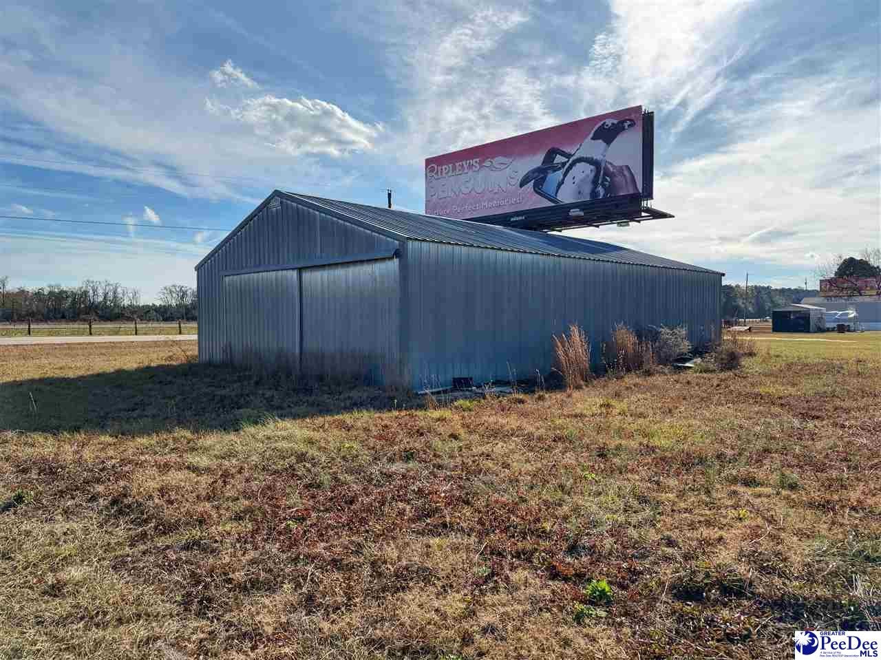821 Mallory Beach Road Latta, SC 29565 - Photo 1 of 7 Gallery Image 1