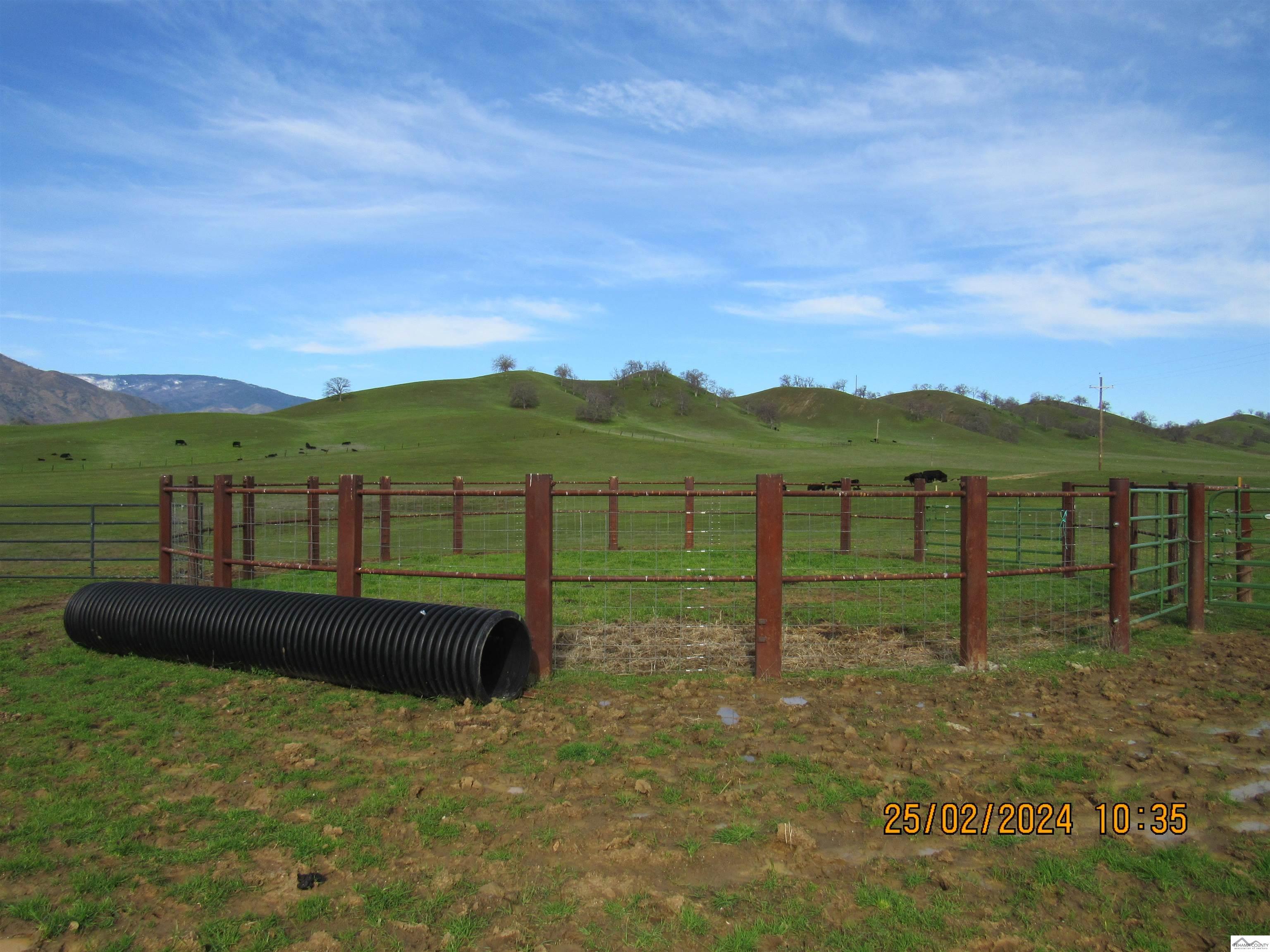 12755 Mccarty Creek Road Red Bluff, CA 96074 - Photo 25 of 28