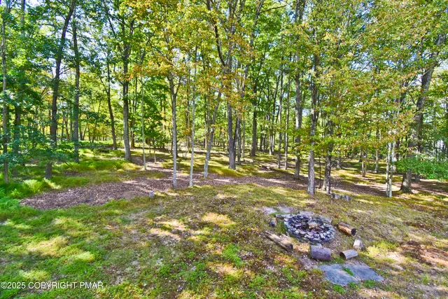 a picture of a person on a wall