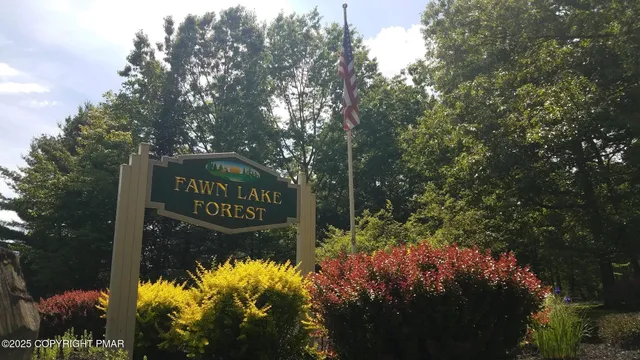 a view of a park with large trees