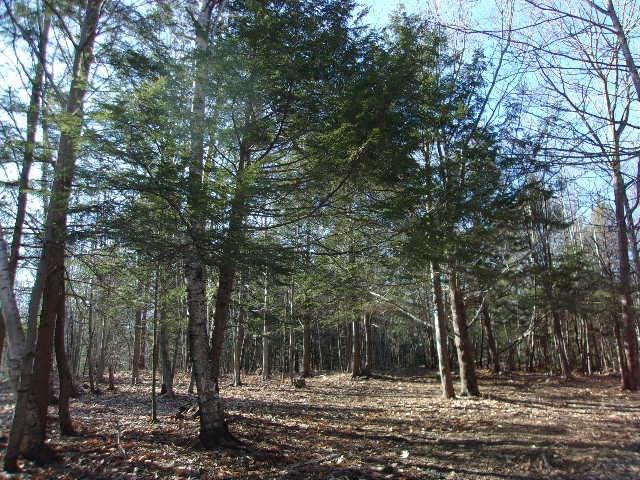 75 Emery Road Starks, ME 04911 - Photo 18 of 26 Photo