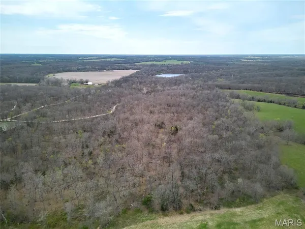 $250,000 | 0 Pond Bottom Road, Middletown, MO 63359