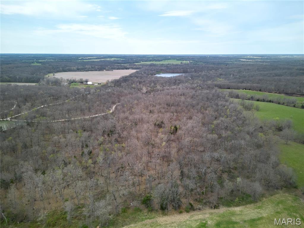 0 Pond Bottom Road Middletown, MO 63359 - Photo 15 of 34