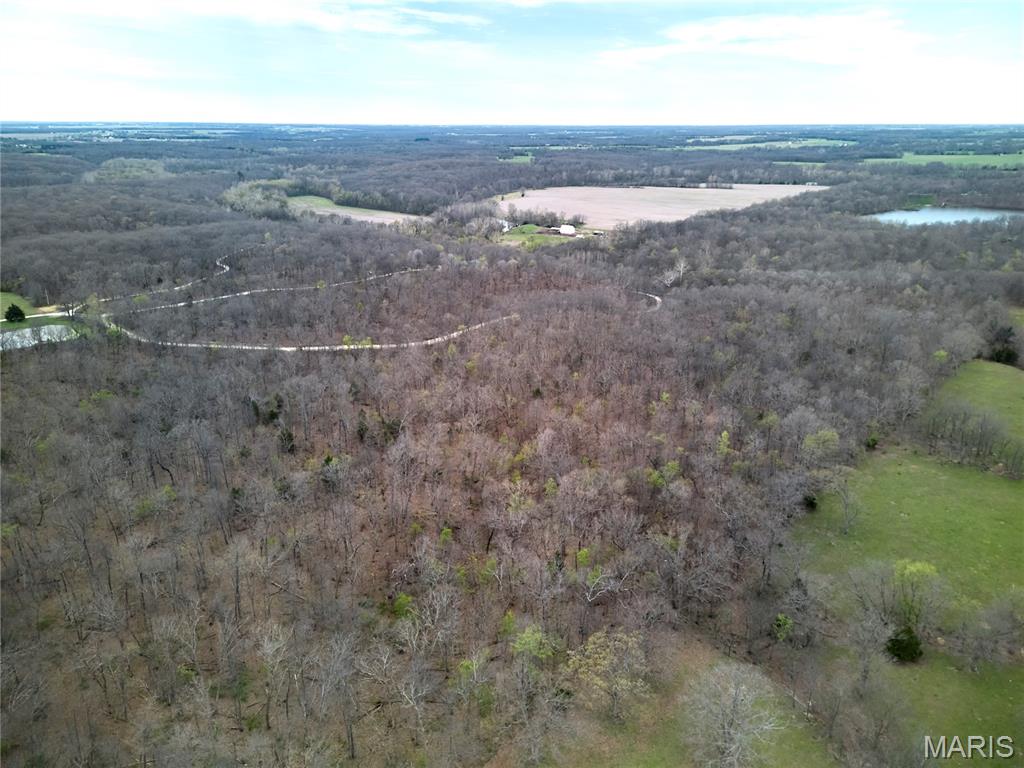 0 Pond Bottom Road Middletown, MO 63359 - Photo 19 of 34