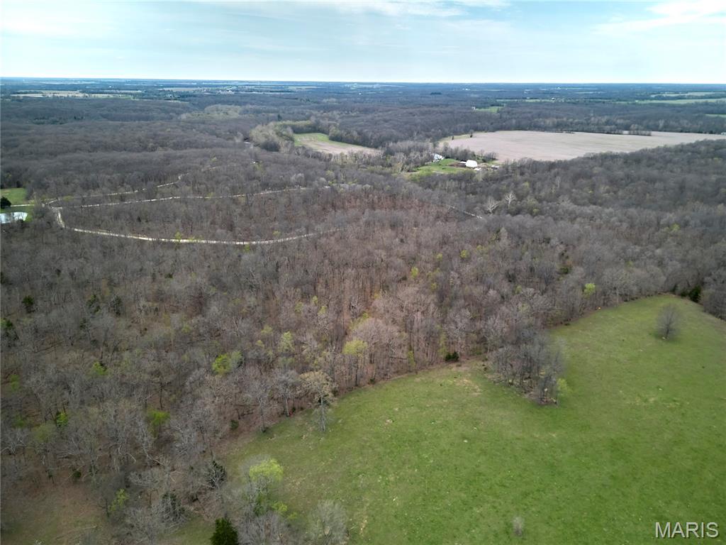 0 Pond Bottom Road Middletown, MO 63359 - Photo 21 of 34