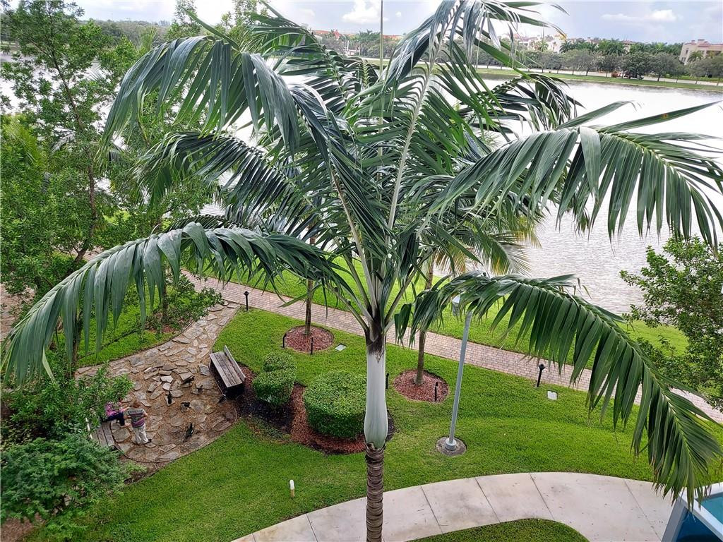 2641 North Flamingo Road, Unit 405 Sunrise, FL 33323 - Photo 5 of 18 Photo 5