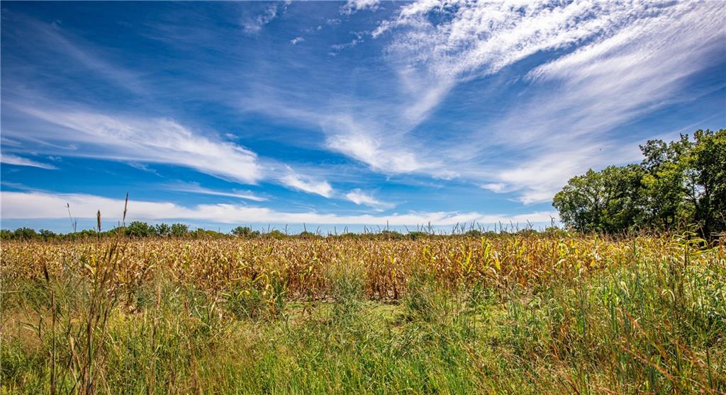 Scott Road Prescott, KS 66767 - Photo 11 of 46
