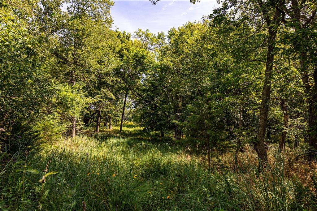 Scott Road Prescott, KS 66767 - Photo 16 of 46