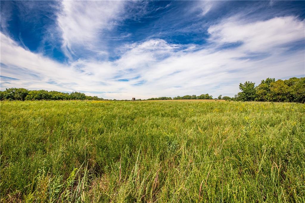 Scott Road Prescott, KS 66767 - Photo 18 of 46