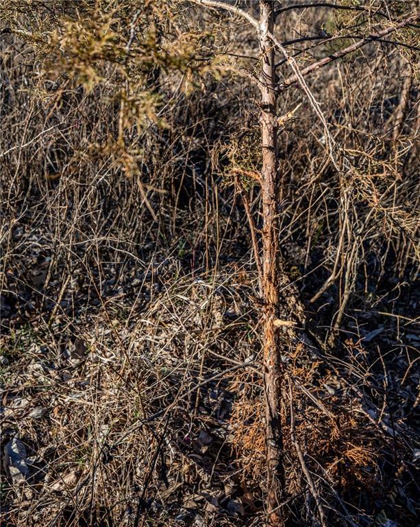 Scott Road Prescott, KS 66767 - Photo 19 of 47