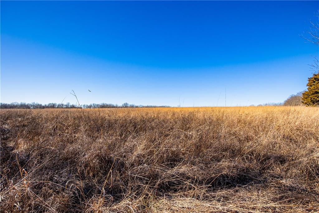 Scott Road Prescott, KS 66767 - Photo 21 of 47