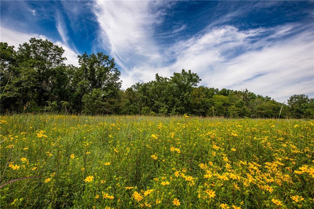 Scott Road Prescott, KS 66767 - Photo 21 of 46