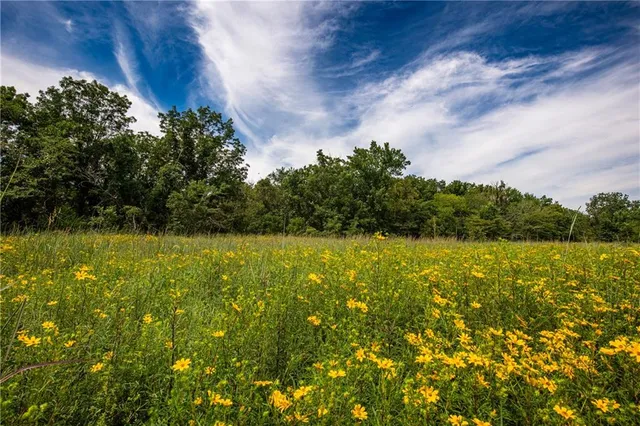 $896,000 | Scott Road, Prescott, KS 66767