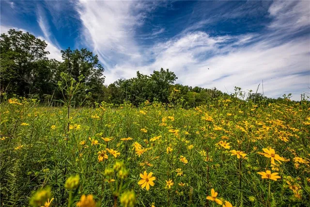 $896,000 | Scott Road, Prescott, KS 66767