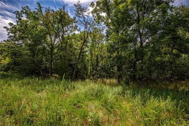 $896,000 | Scott Road, Prescott, KS 66767