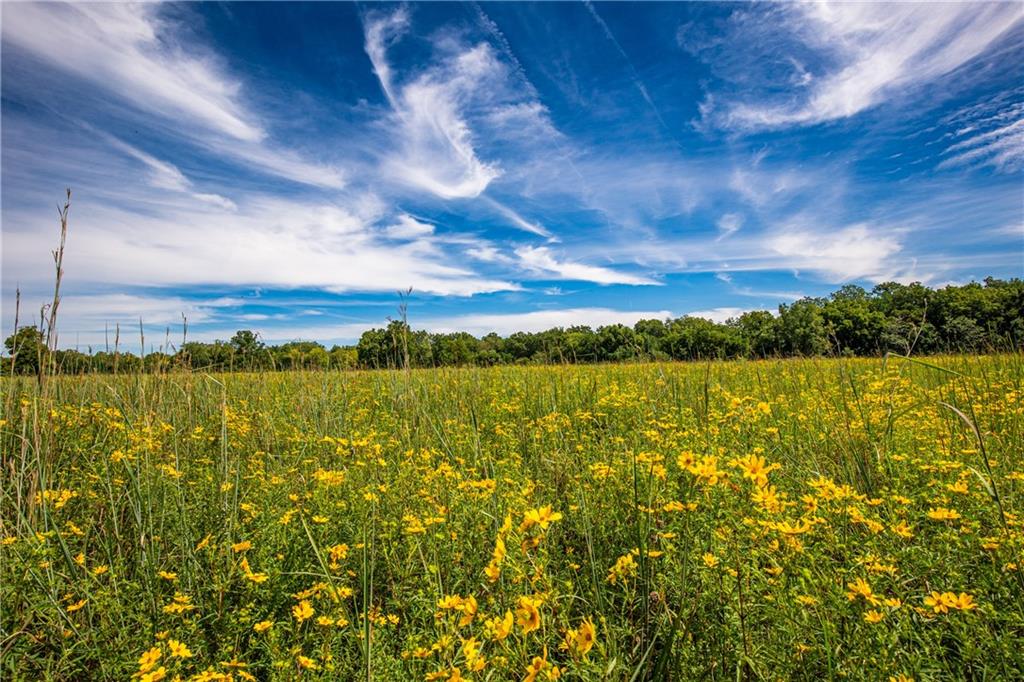 Scott Road Prescott, KS 66767 - Photo 24 of 46