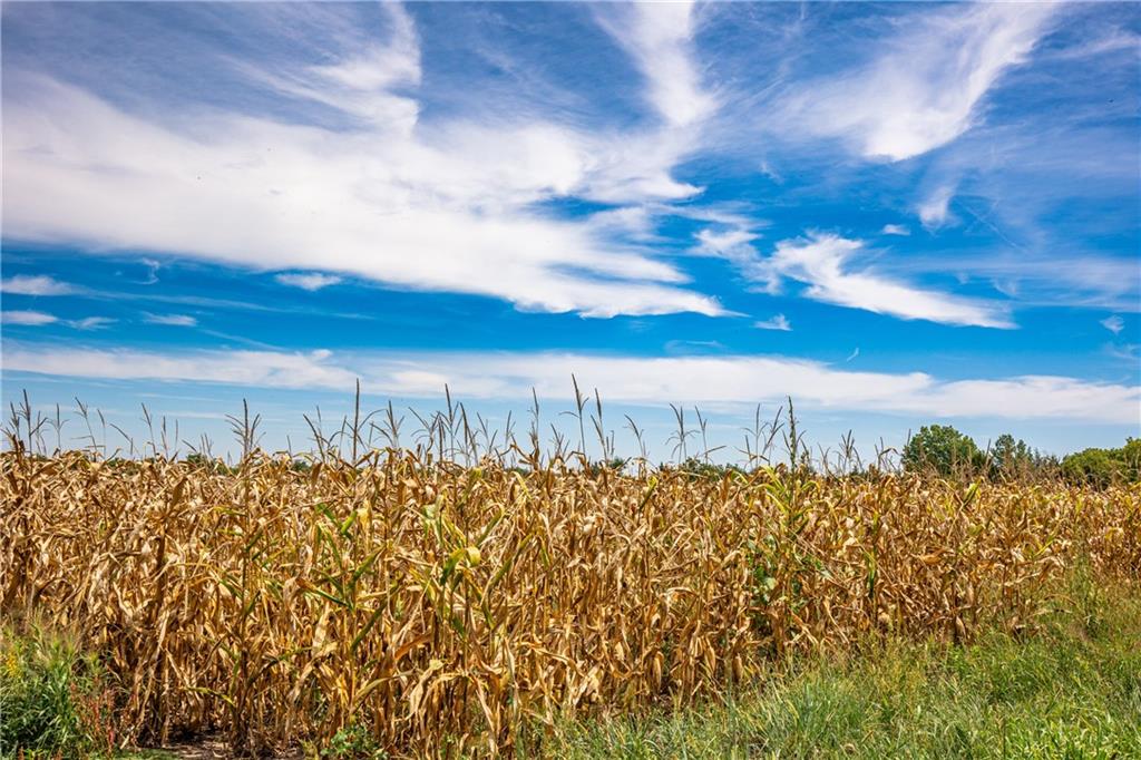 Scott Road Prescott, KS 66767 - Photo 25 of 46