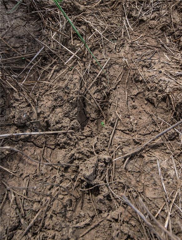 Scott Road Prescott, KS 66767 - Photo 28 of 46