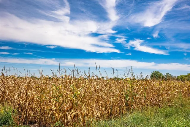 $896,000 | Scott Road, Prescott, KS 66767