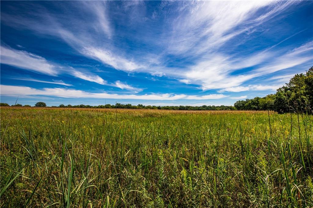 Scott Road Prescott, KS 66767 - Photo 4 of 46