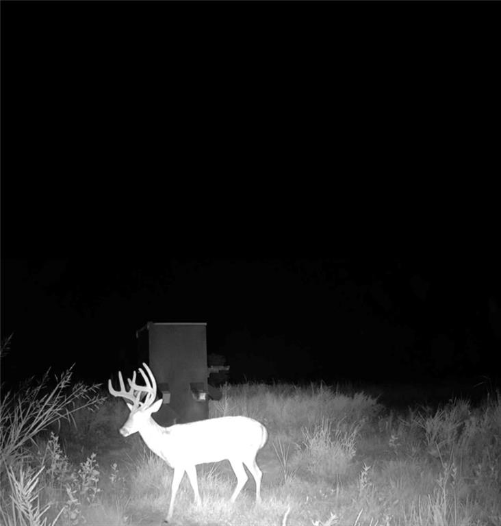 Scott Road Prescott, KS 66767 - Photo 41 of 46