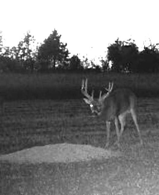 Scott Road Prescott, KS 66767 - Photo 43 of 47