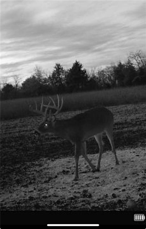 Scott Road Prescott, KS 66767 - Photo 45 of 46