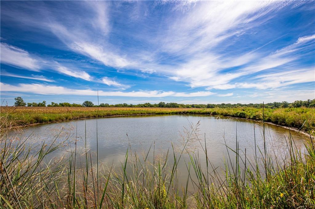 Scott Road Prescott, KS 66767 - Photo 5 of 46