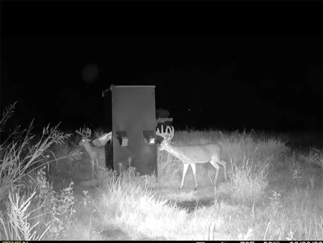 $896,000 | Scott Road, Prescott, KS 66767