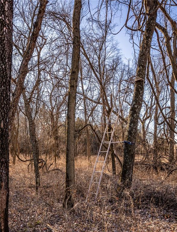 Scott Road Prescott, KS 66767 - Photo 7 of 47