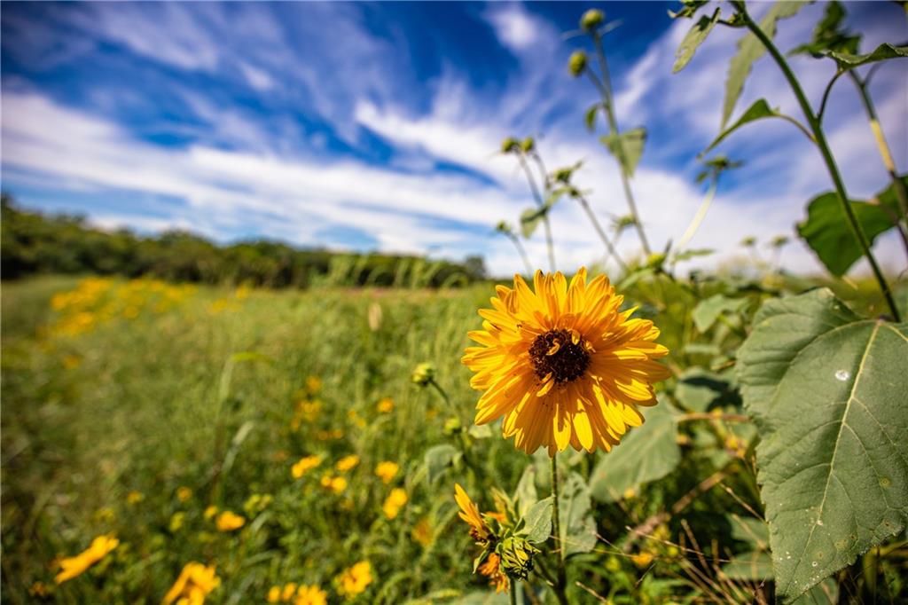 Scott Road Prescott, KS 66767 - Photo 8 of 46