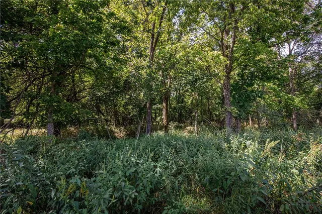 $448,000 | Scott Road, Prescott, KS 66767