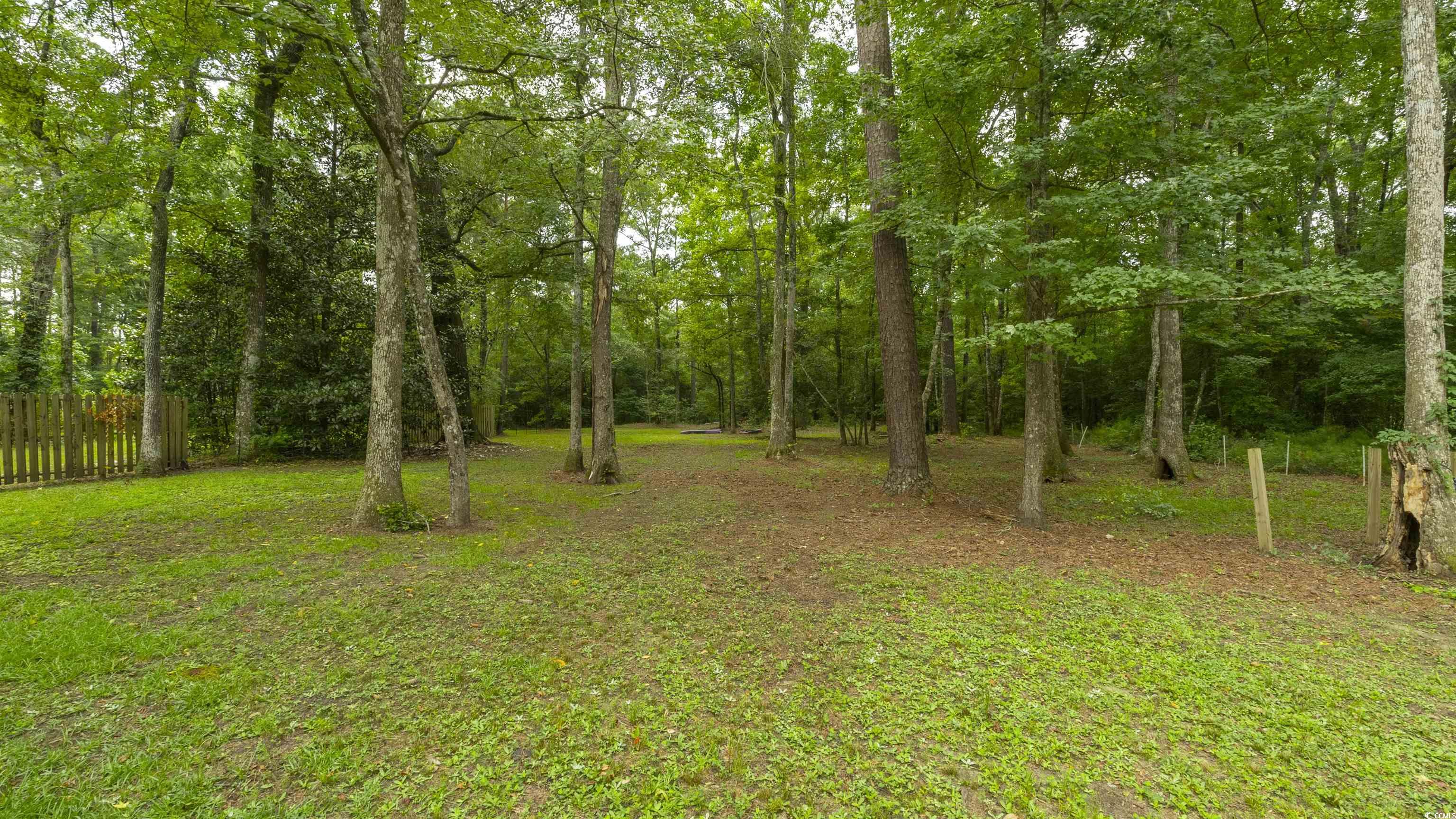 3180 Long Ave Extension Conway, SC 29526 - Photo 33 of 33